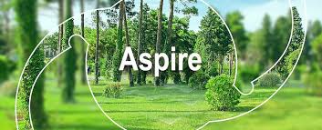 enVista Aspire IOL.png